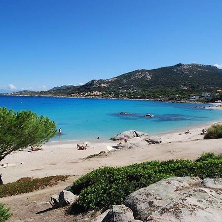 L'orangeraie Calvi centre à 300m de la plage et du port parking privé Extérieur photo