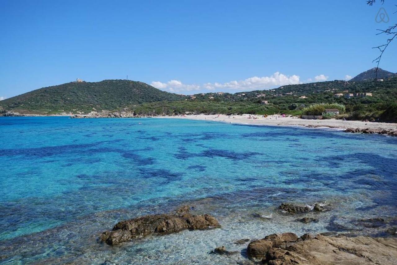 L'orangeraie Calvi centre à 300m de la plage et du port parking privé Extérieur photo