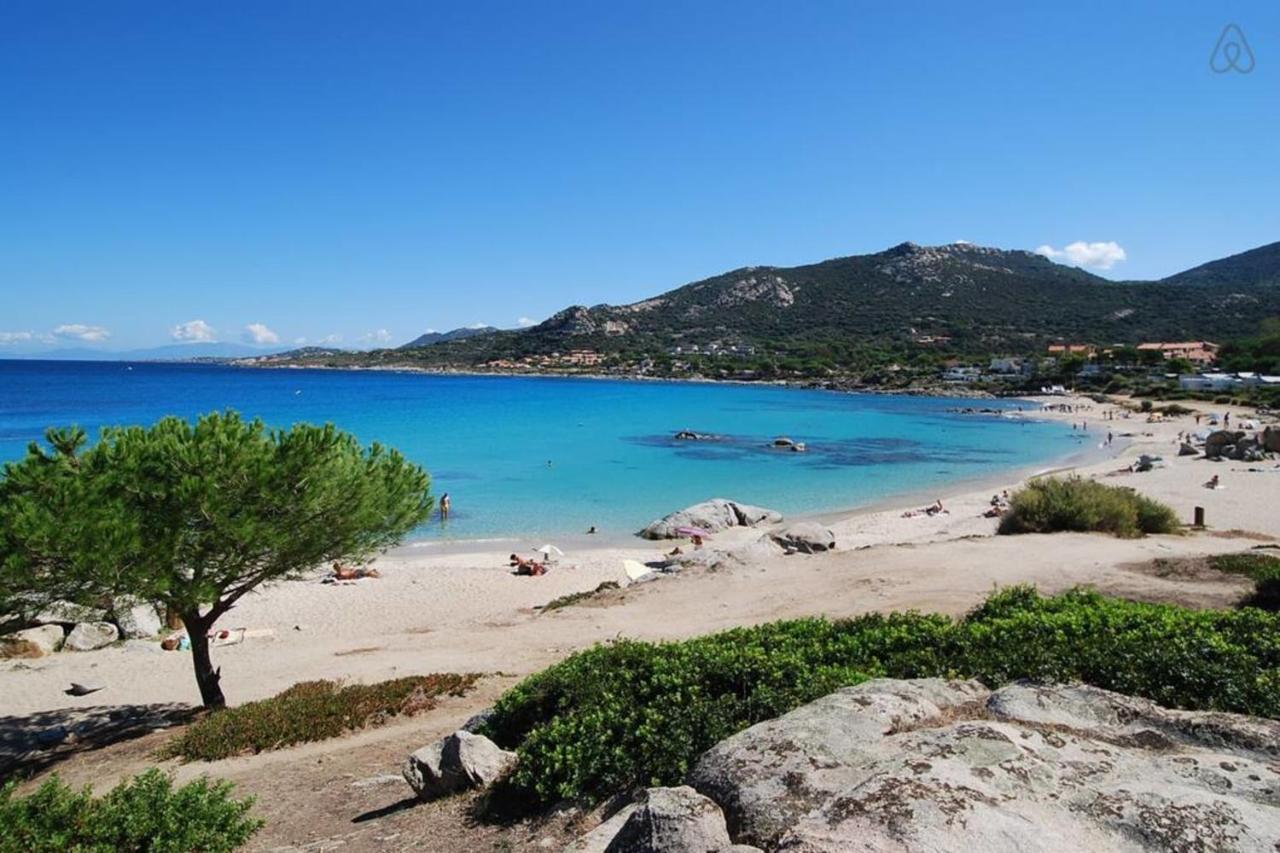L'orangeraie Calvi centre à 300m de la plage et du port parking privé Extérieur photo